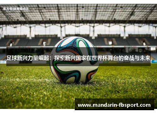 足球新兴力量崛起：探索新兴国家在世界杯舞台的奋战与未来
