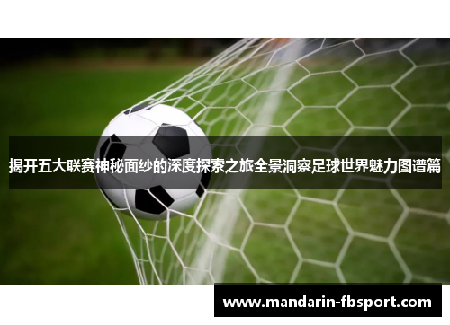 揭开五大联赛神秘面纱的深度探索之旅全景洞察足球世界魅力图谱篇